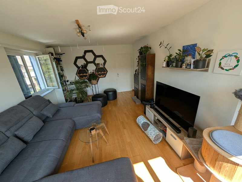 Modern living room with a grey sectional sofa, glass coffee table, large flat-screen TV, and decorative plants. Features wooden flooring, built-in shelving, and a cozy seating area.