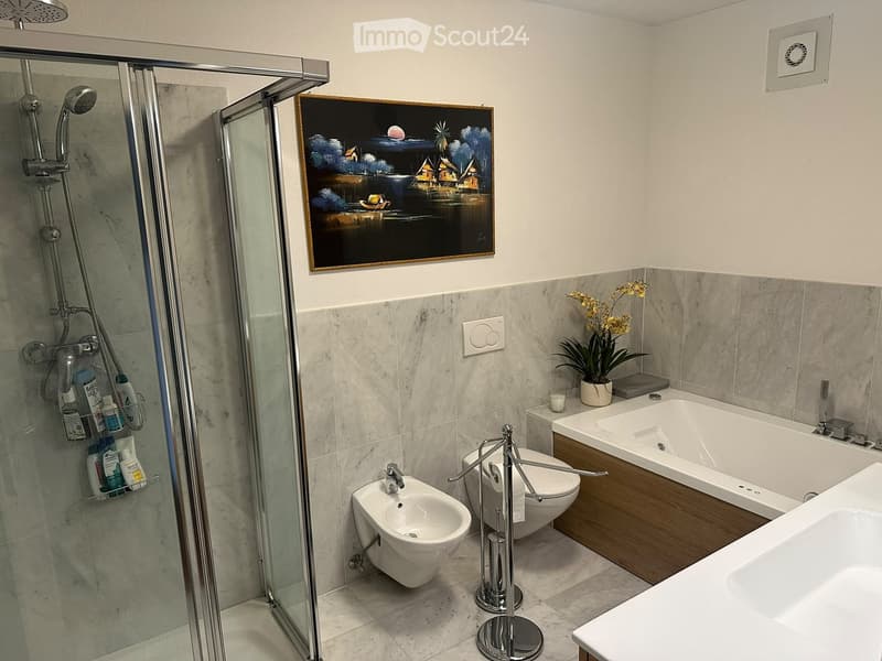 Modern bathroom with a glass-enclosed shower, toilet, bidet, bathtub, and sink. Includes a towel rack, shower rack with toiletries, a potted plant, and a decorative picture frame on the wall.