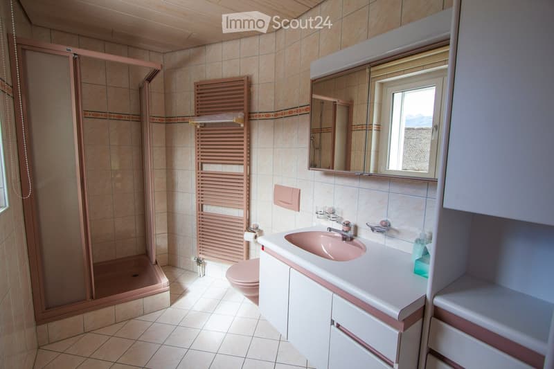 Bathroom with a pink sink, mirror, toilet, and a glass-enclosed shower. Features a towel rack and a window providing natural light.