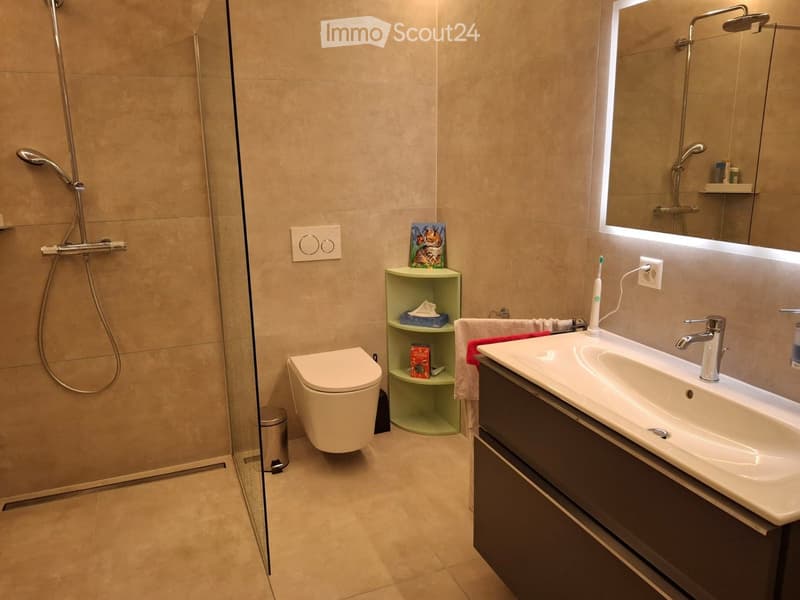 Modern bathroom with a white sink, mirror, toilet, and shower. Includes a small green shelf with a picture and a toothbrush on the counter.