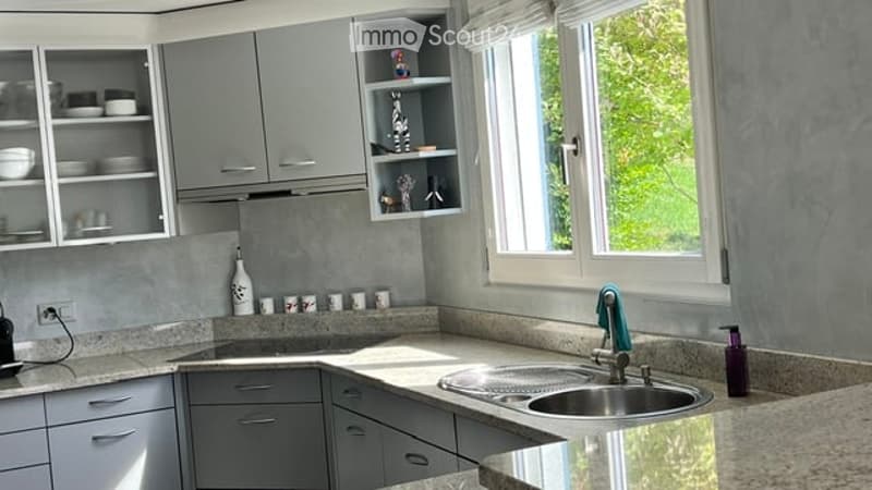 Modern kitchen with grey cabinets, granite countertops, and a stainless steel sink. The window offers a view of greenery outside. Various cups and a bottle are placed on the counter.