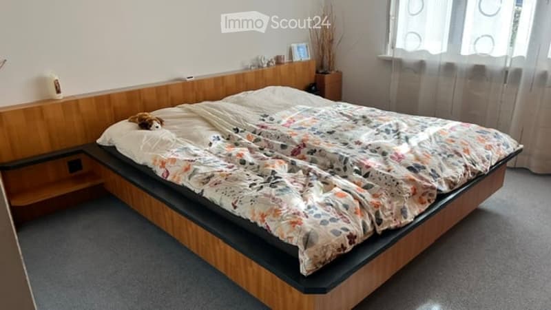 A modern bedroom with a large wooden bed, colorful patterned duvet, nightstand, and a small plant in the corner.