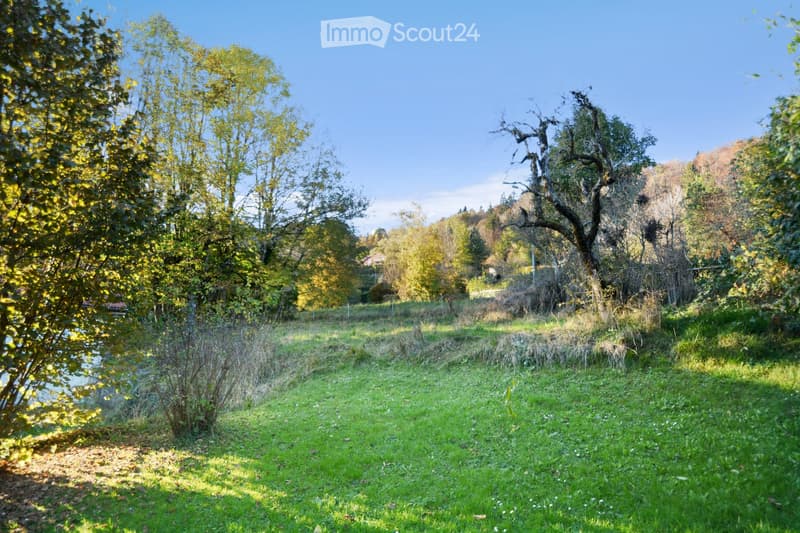 A grassy outdoor area surrounded by trees and shrubs, with a clear blue sky and a few distant structures visible in the background.