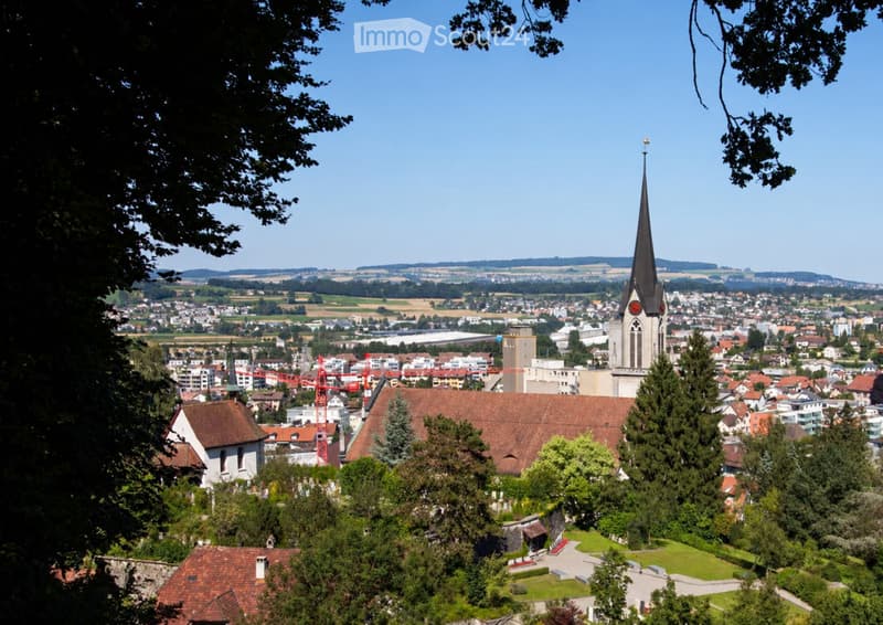 A panoramic view of a town with a prominent church featuring a tall spire, surrounded by residential buildings, green spaces, and distant hills under a clear blue sky.