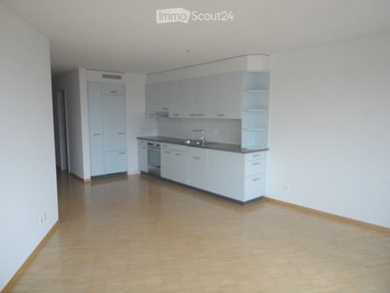 Empty kitchen with light blue cabinetry, stainless steel appliances, and wooden flooring.