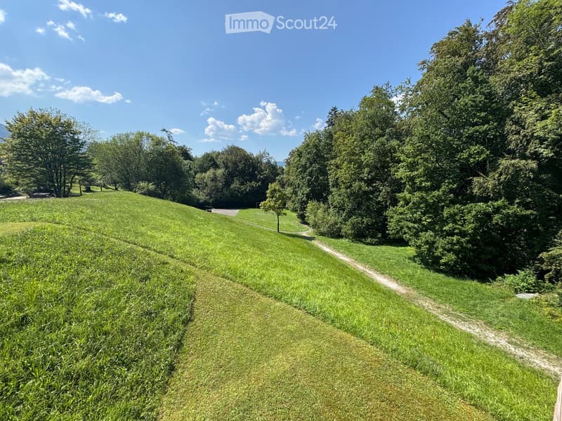 A well-maintained lawn with a winding gravel path, surrounded by tall trees and shrubs under a clear blue sky.