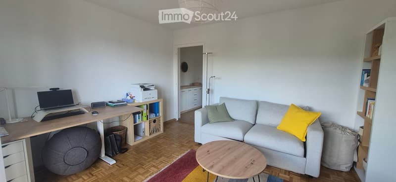 A modern, multi-functional room with a grey sofa, a wooden coffee table, a large desk with a laptop, a printer, and a bookshelf. The room features a ball chair and a floor lamp, with a view into an adjacent kitchen area.