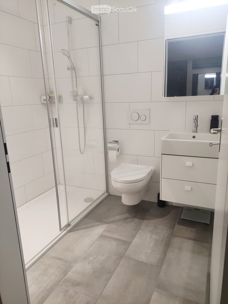 Modern bathroom with white tiles, a glass-enclosed shower, a toilet, a sink with a mirror, and a toilet paper holder.