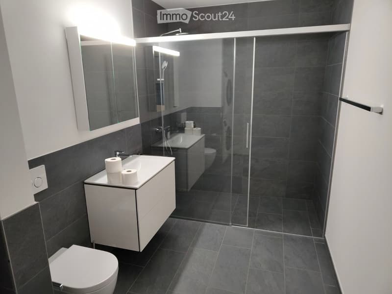 Modern bathroom with dark grey tiles, white sink cabinet, toilet, large mirror, and glass-enclosed shower.