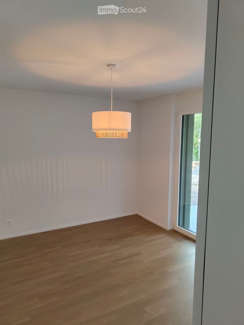 Empty room with light wooden flooring, white walls, and a large pendant light fixture. A glass door leads to an outdoor area.