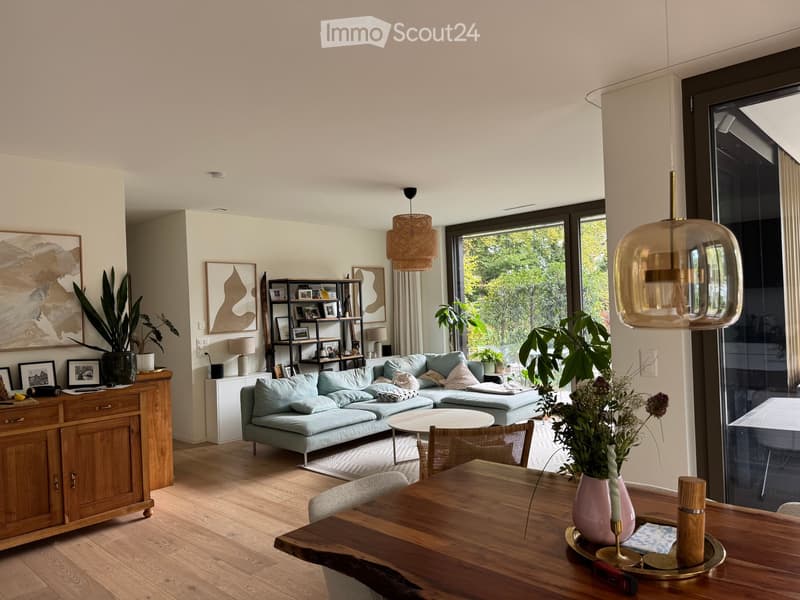 Bright living room with light blue sofa, wooden coffee table, dining table, chairs, cabinet, shelves, and decorative plants.