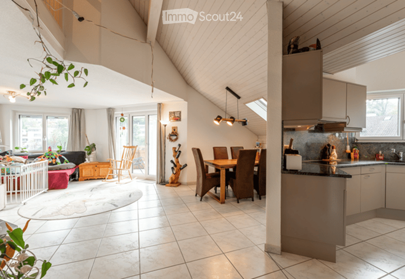 Open-plan living and dining area with modern kitchen, dining table, sofa, chairs, and various decorative items.