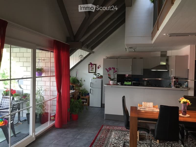 Open-plan living and dining area with a dining table, chairs, kitchen area, and potted plants. Features a large window with a red curtain and a view of a balcony with outdoor furniture.