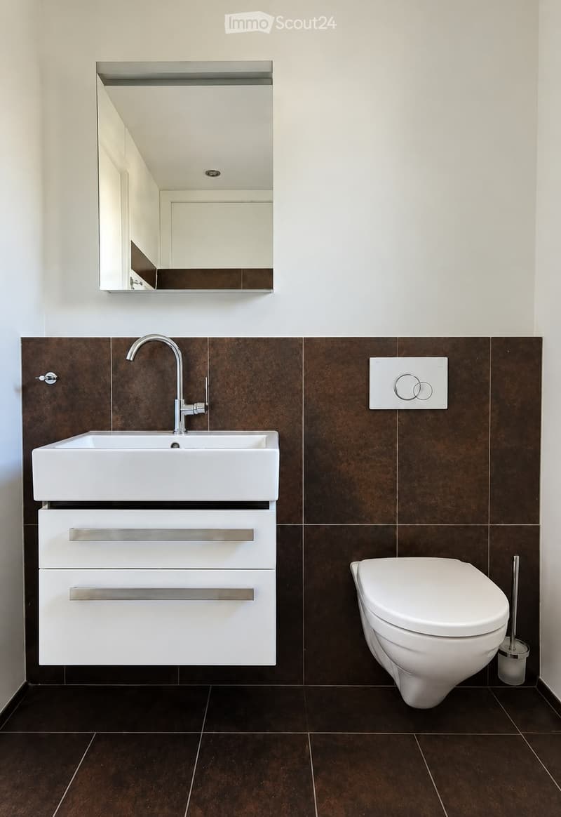 Modern bathroom with a white sink, chrome faucet, mirrored cabinet, and a toilet. Dark brown tiles on walls and floor.