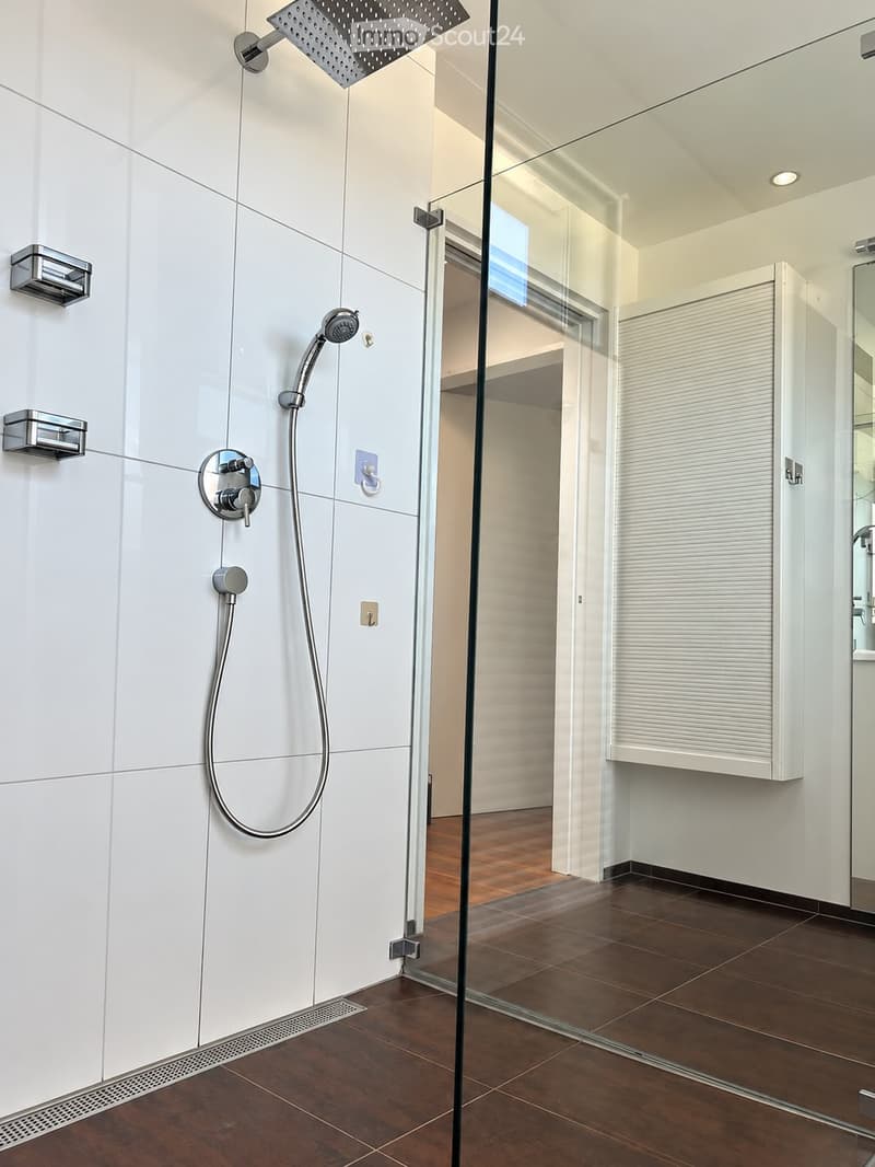 Modern bathroom with white tiled walls, a glass-enclosed shower area, a handheld showerhead, and a built-in cabinet with a mirrored front.