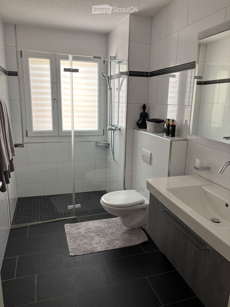 Modern bathroom with dark tiled floor, white toilet, double sink, large mirror, glass-enclosed shower, and decorative items on the cabinet.