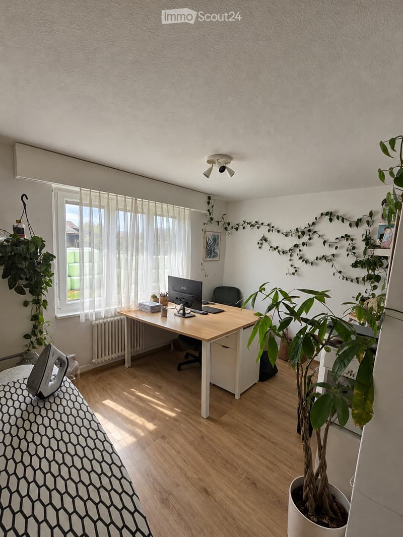 A well-lit room with a wooden desk, computer setup, office chair, large potted plant, and an ironing board with an iron on it. The room features light-colored walls, wooden flooring, and sheer white curtains on the windows.