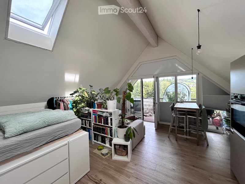 A modern, multi-functional attic room with a bed, bookshelf, desk, and large windows. Features include a wardrobe, potted plants, and a small seating area.