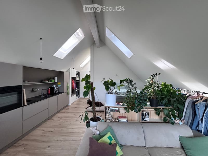 Open-plan living and sleeping area with a grey sofa, coffee table, potted plants, kitchen area with cabinets, oven, sink, and a bed with bedding.