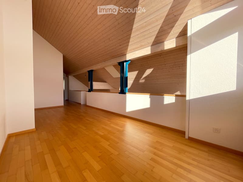 Empty room with wooden flooring and white walls, featuring a wooden ceiling and blue structural beams.