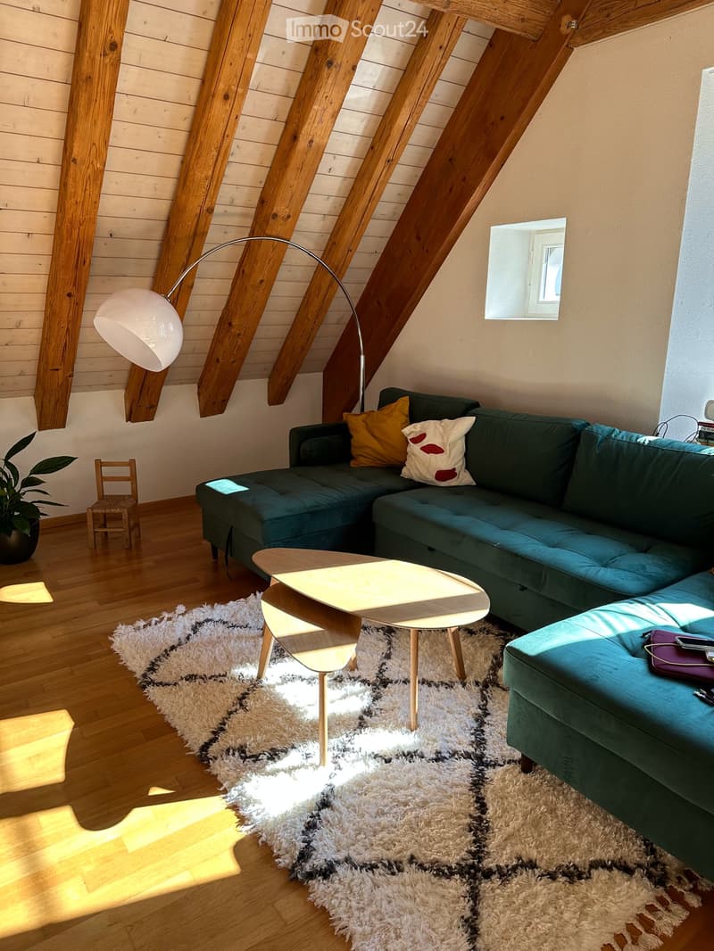 Cozy 3.5-Room apartment with open studio in Wädenswil (4)
