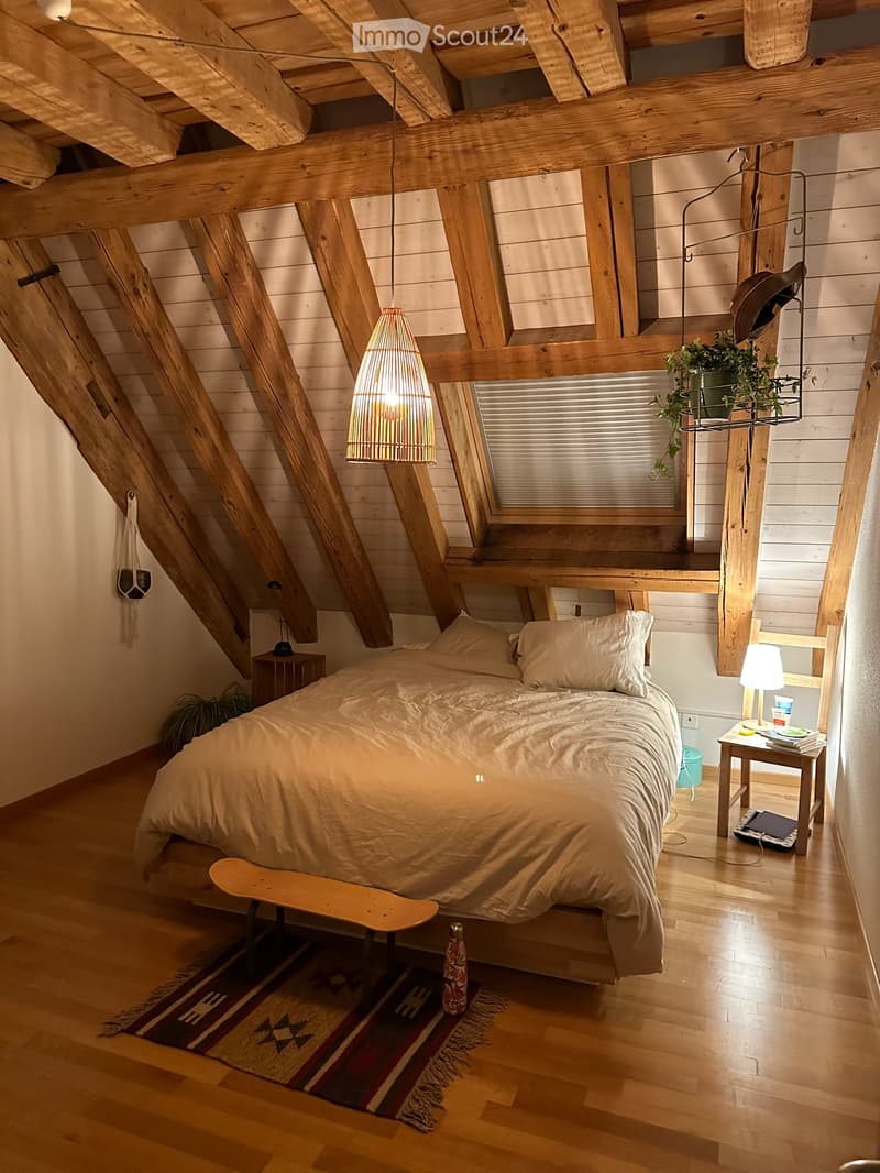 Cozy 3.5-Room apartment with open studio in Wädenswil (2)
