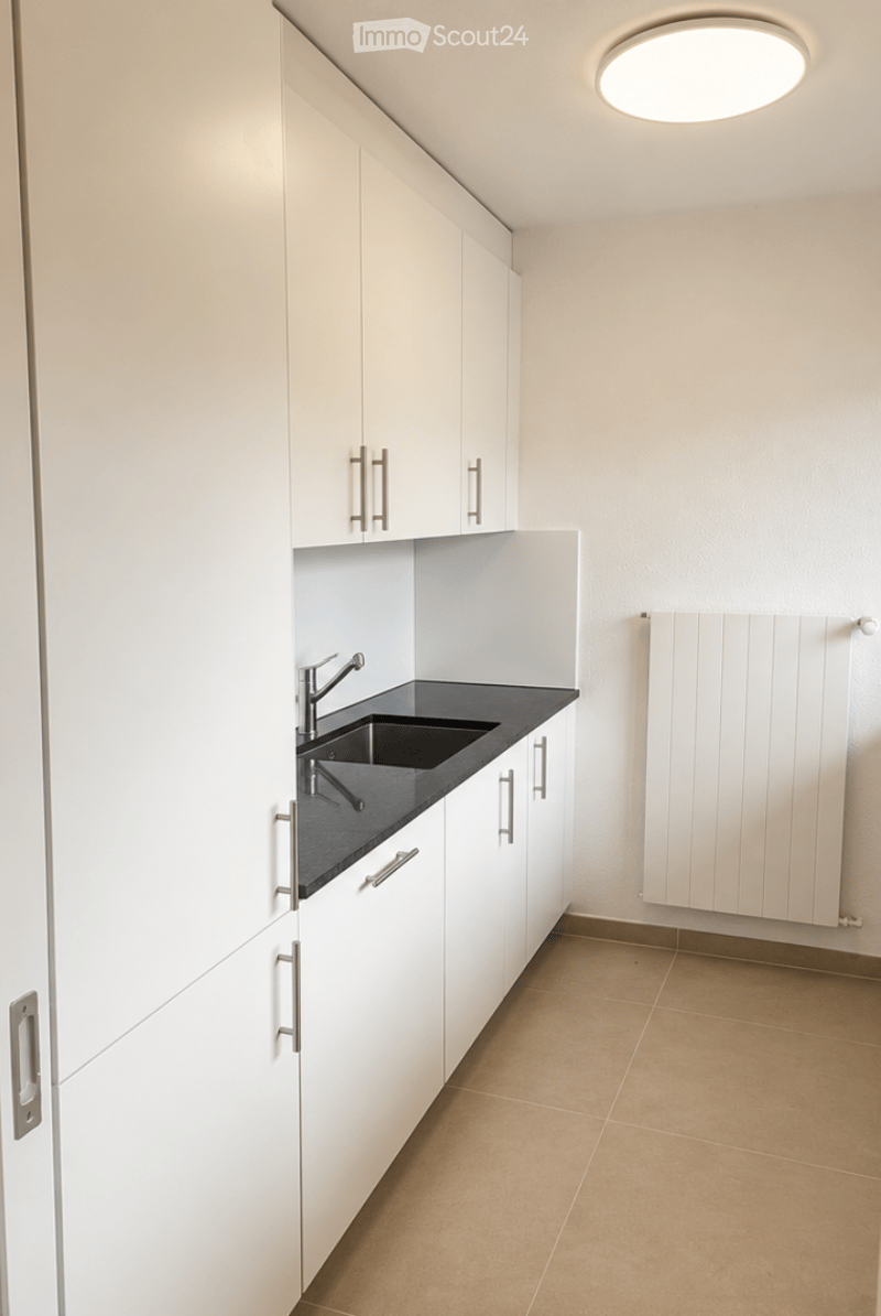 Modern kitchen with white cabinets, black countertop, stainless steel sink and faucet, and a built-in radiator.