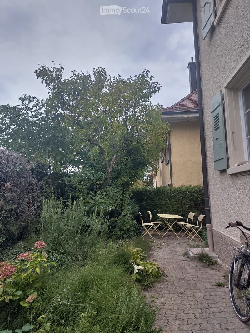 A small garden area with a brick pathway, a table and chairs, and lush greenery including trees and shrubs.