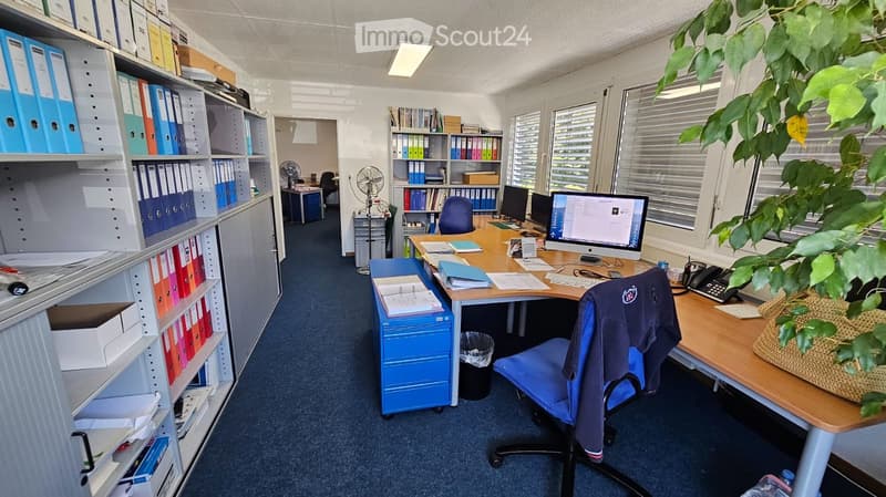 Office: desks, office chairs, computer monitors, storage shelves, telephone, fans