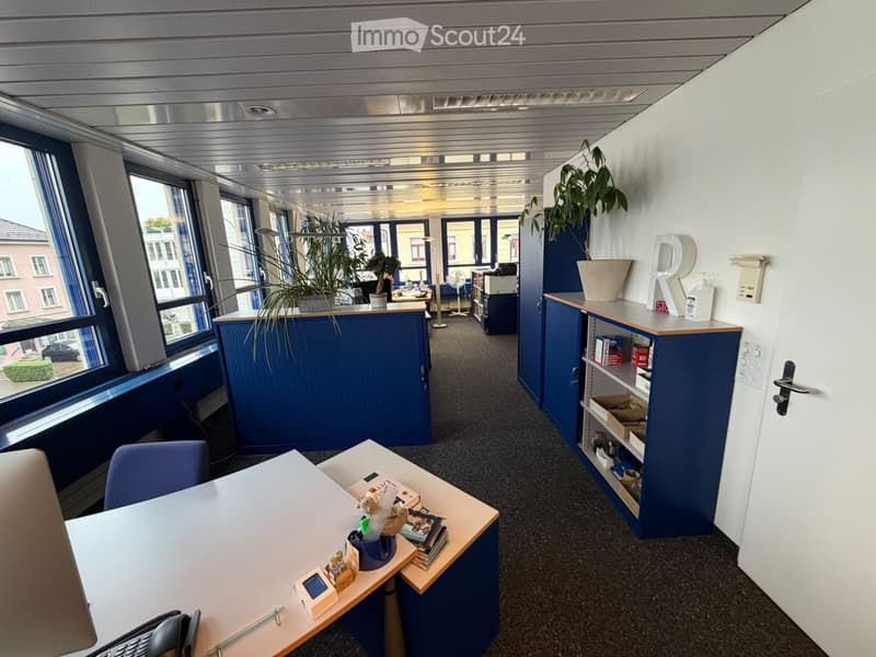 Office space with desks, chairs, laptops, plants, shelves, and cabinets.