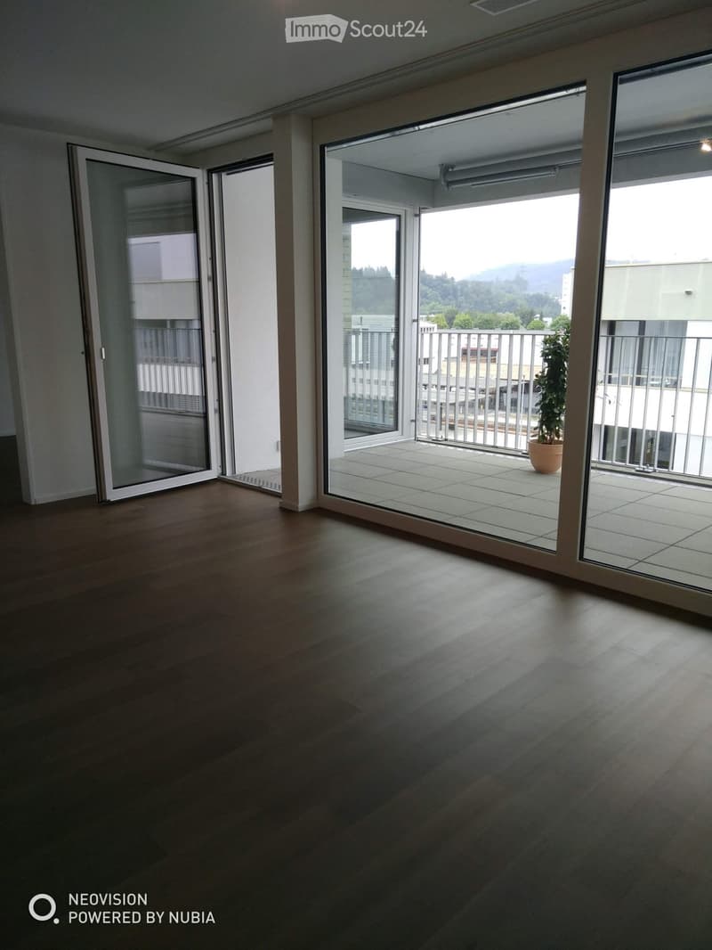 Empty room with wooden flooring and large sliding glass doors leading to a balcony with a potted plant.