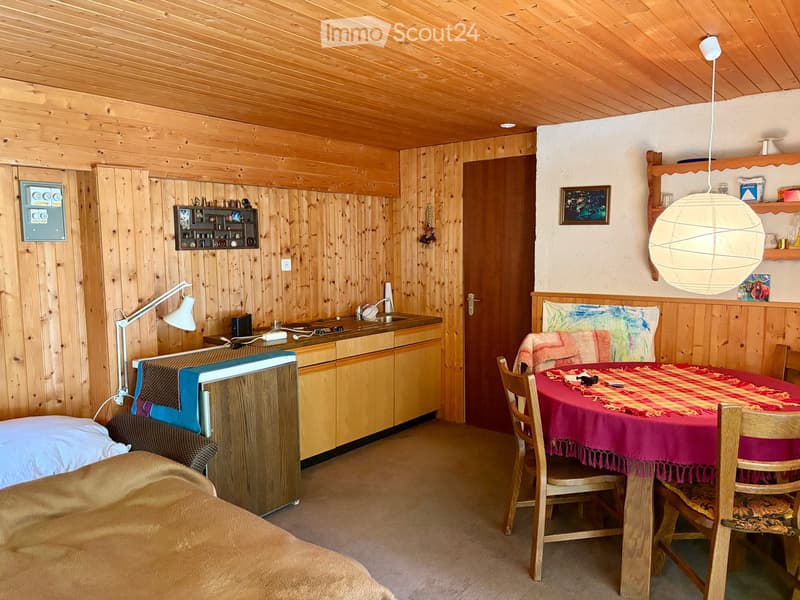 Cozy, wooden-paneled room with a sofa, small kitchen area, dining table with chairs, and decorative shelves.