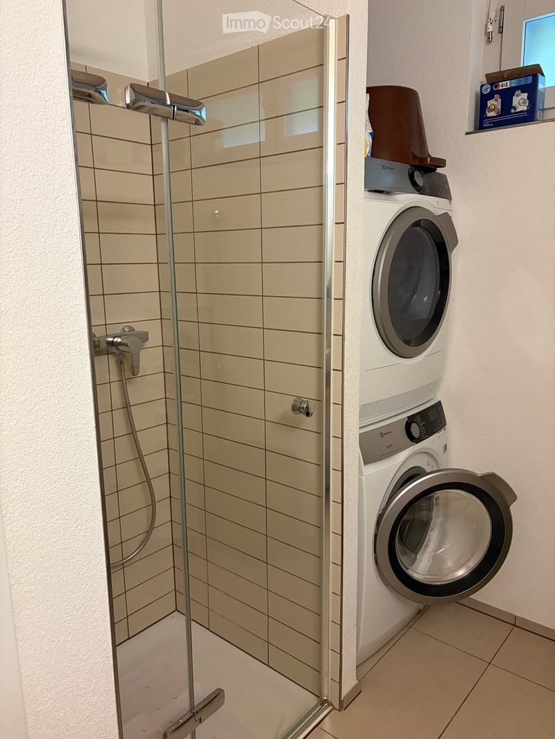 Modern bathroom with a glass-enclosed shower and a stacked washer/dryer unit.