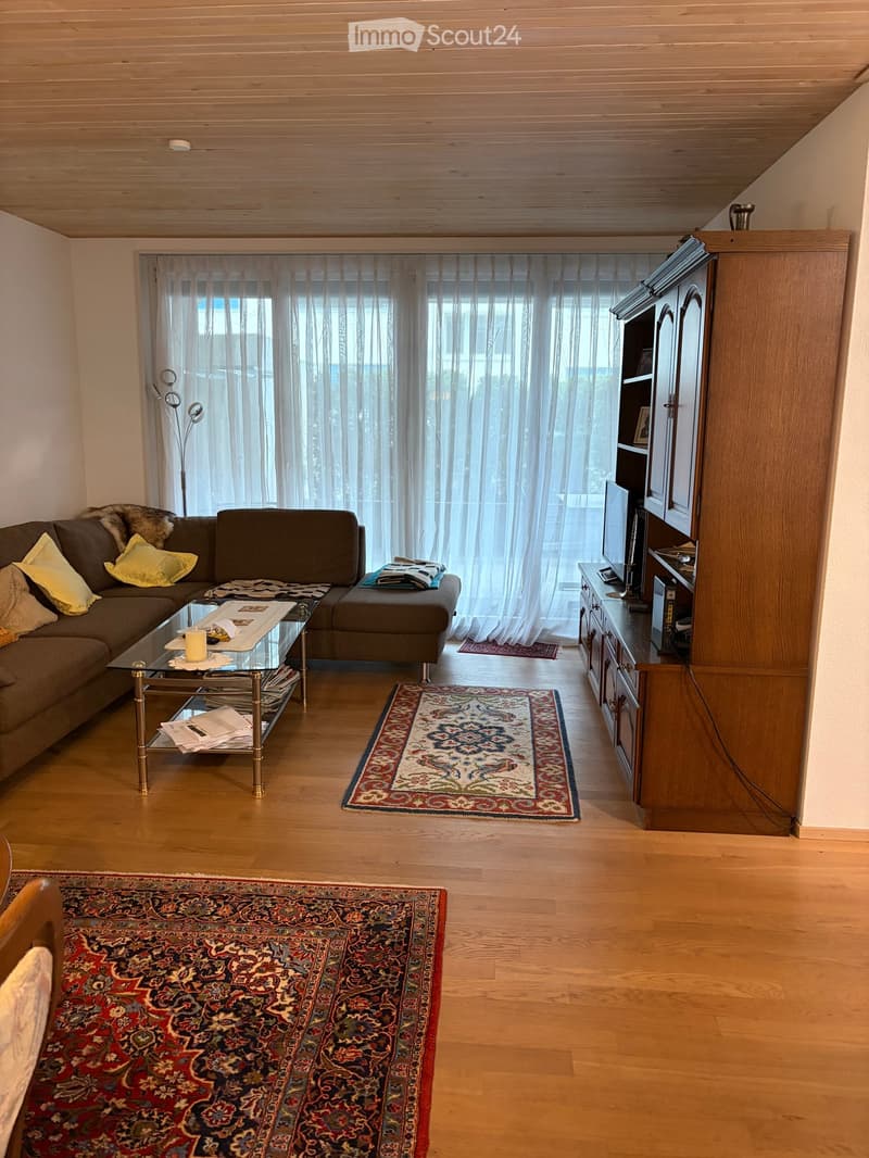 A modern living room with wooden flooring, a large window with sheer curtains, a sectional sofa with pillows, a glass coffee table, a television cabinet, and two patterned rugs.