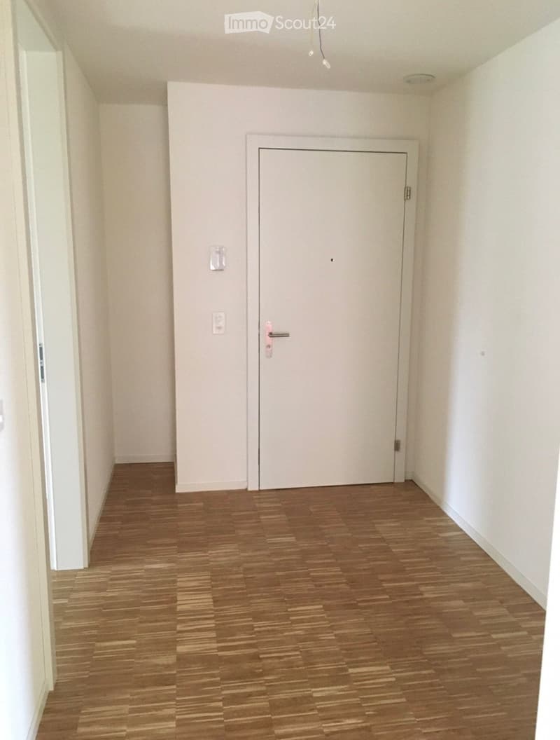 Empty hallway with wooden flooring, white walls, and a closed white door at the end.
