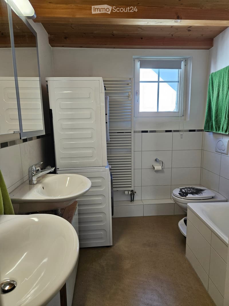 Modern bathroom with a sink, bathtub, toilet, mirror, and radiator. The room features a window with blinds and a green towel hanging on the wall.