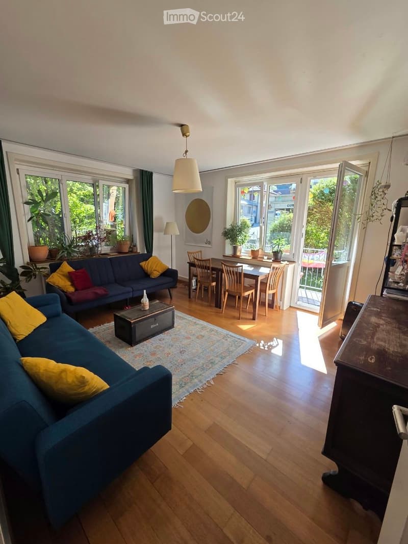 Bright living room with wooden flooring, large windows, a blue sofa with yellow and red cushions, a coffee table, a dining area with a table and chairs, and potted plants on the windowsill.