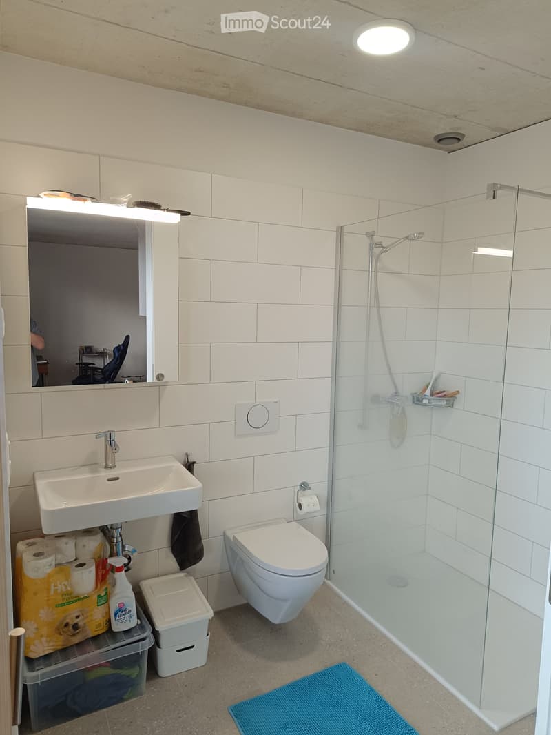 Modern bathroom with white tiles, a sink, toilet, glass-enclosed shower, and a mirror with built-in lighting. Cleaning supplies and a bath mat are visible.