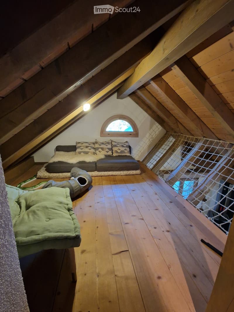 Cozy attic room with wooden floors, slanted wooden ceiling, skylight window, sofa with pillows, green cushion, and a hammock.