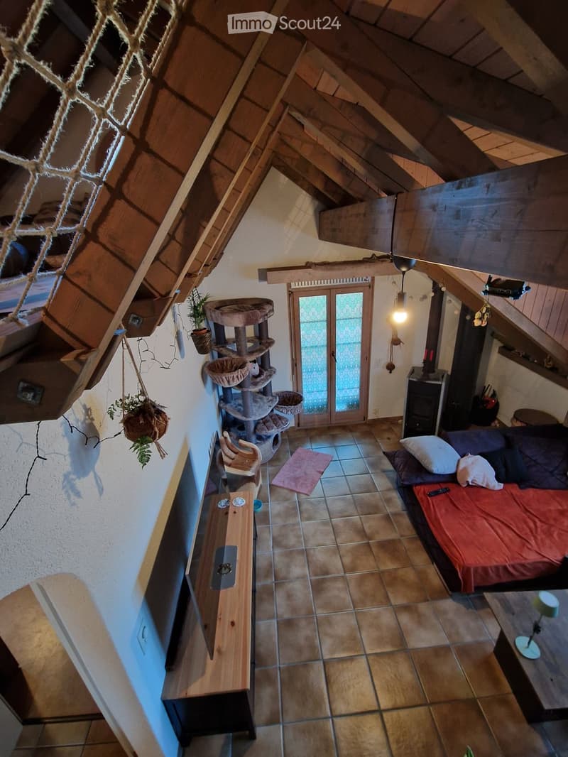 A cozy living space with a sofa, cat tree, small table, and hanging plants. The room features exposed wooden beams and a tiled floor.