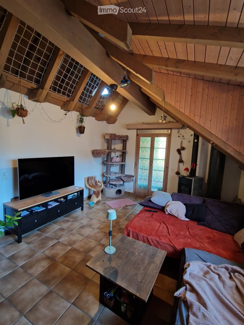 A cozy living space with a wooden ceiling, tiled floor, and a mix of furniture including a sofa, bed, coffee table, TV stand, and a cat tree.