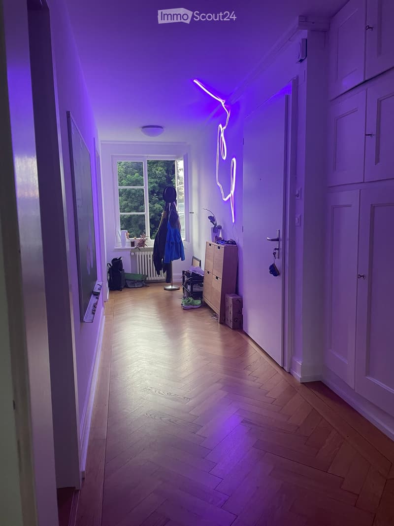 Hallway with wooden flooring, white walls, and a neon light fixture on the wall. A window at the end provides natural light, and there are some items like a coat rack and a small table visible.