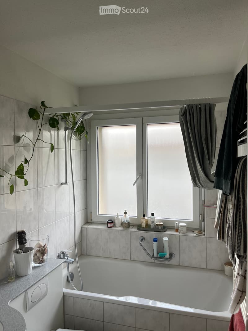 Modern bathroom with a bathtub, showerhead, and various toiletries on the windowsill and countertop. Includes a towel hanging on the side and a small plant on the wall.