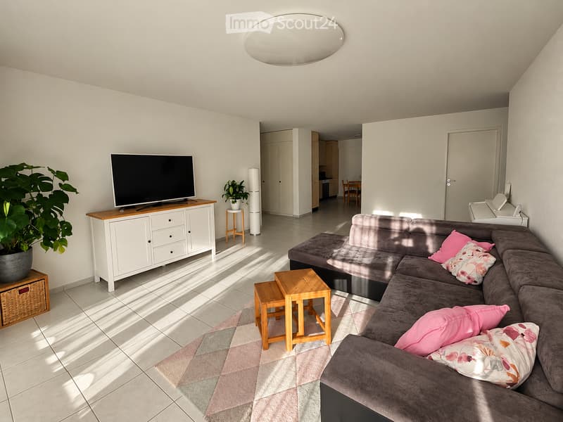 Modern living room with a grey sectional sofa, pink throw pillows, a coffee table, a TV on a white cabinet, and a large plant in a pot. The room features tiled flooring and natural light streaming in.