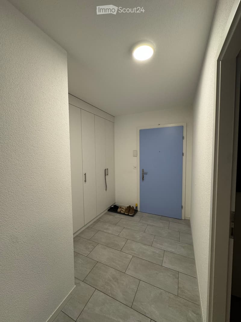 A clean, modern hallway with tiled flooring, white walls, a round ceiling light, a white closet with silver handles, and a blue door leading to another room. A small shoe rack with several pairs of shoes is placed near the door.