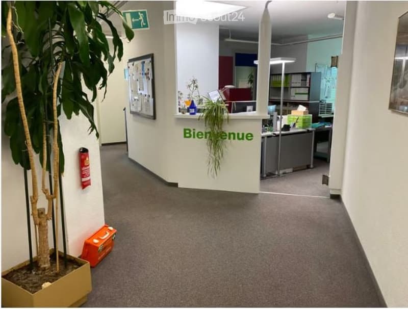 Office hallway with carpeted floor, white walls, potted plant, and a reception area visible in the background.