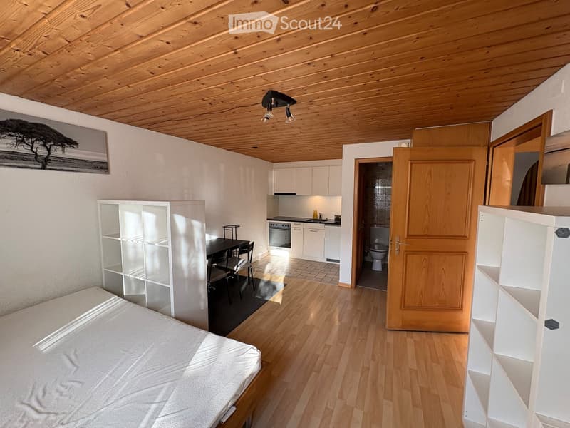 Cozy studio apartment with wooden floors, a bed, a small dining area with a table and chairs, a kitchen area with cabinets and an oven, and a bathroom with a toilet. The room features built-in shelving and a slanted wooden ceiling.