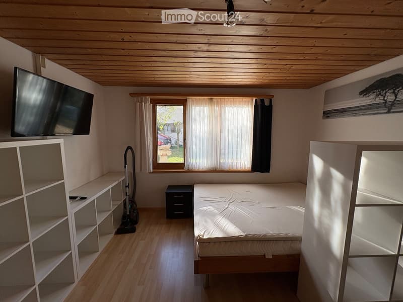 Cozy bedroom with wooden ceiling, bed, shelves, TV, and a vacuum cleaner near the window.