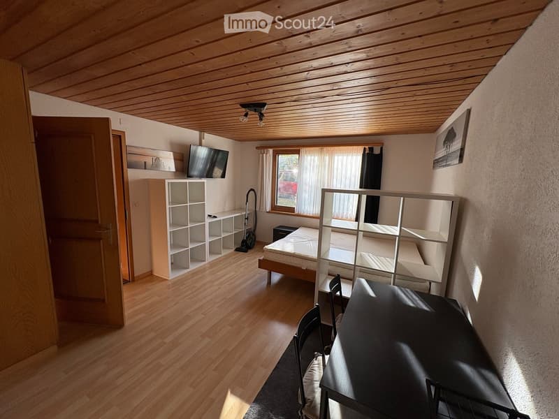 Cozy bedroom with wooden floors, a bed, a chair, a small table, shelves, and a TV mounted on the wall.