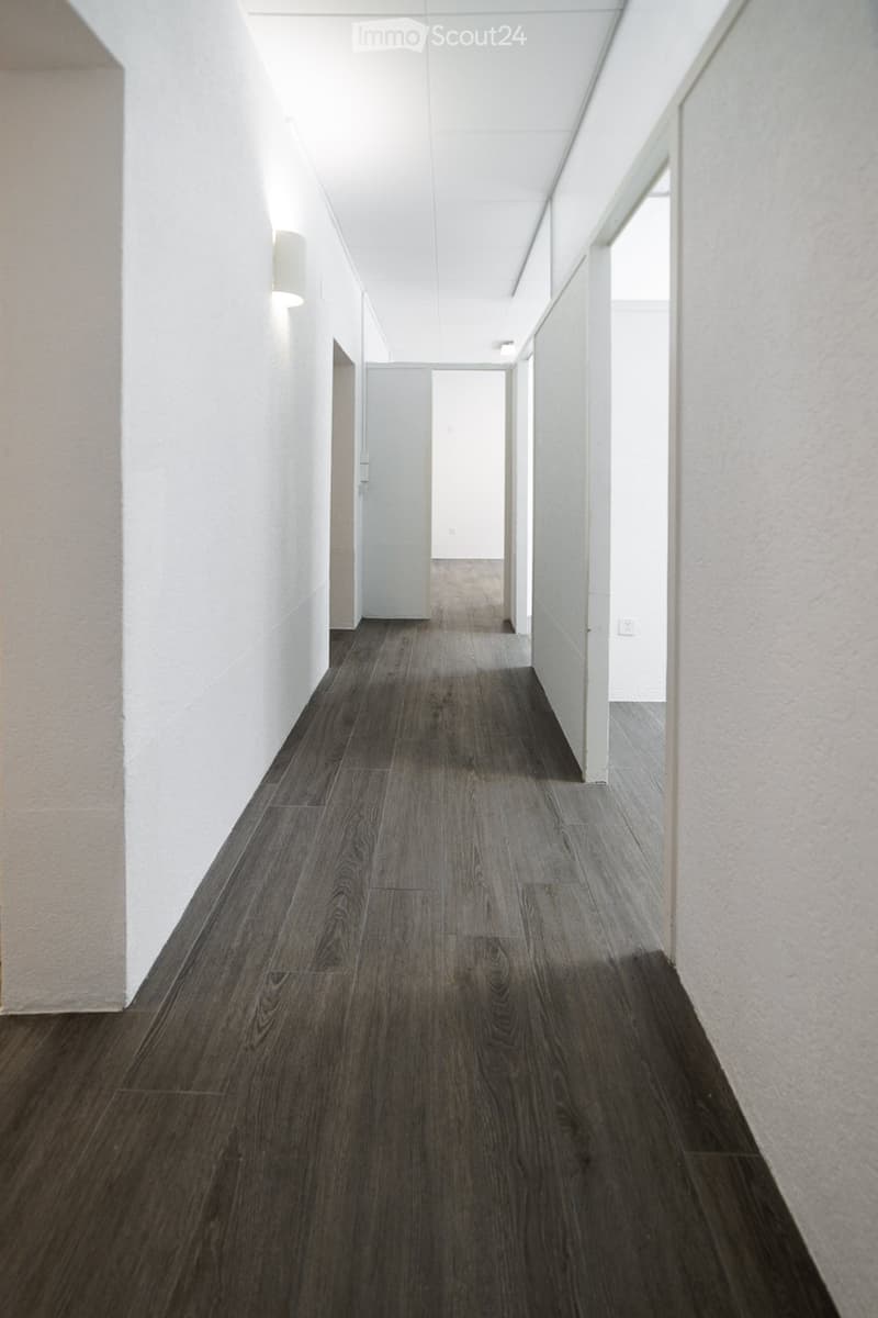 Modern, minimalist hallway with dark wood flooring and white walls, featuring recessed lighting and a single wall-mounted light fixture.